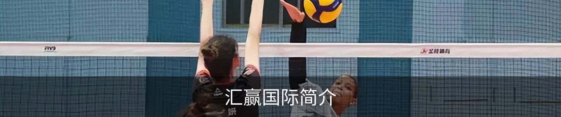 汇赢国际简介